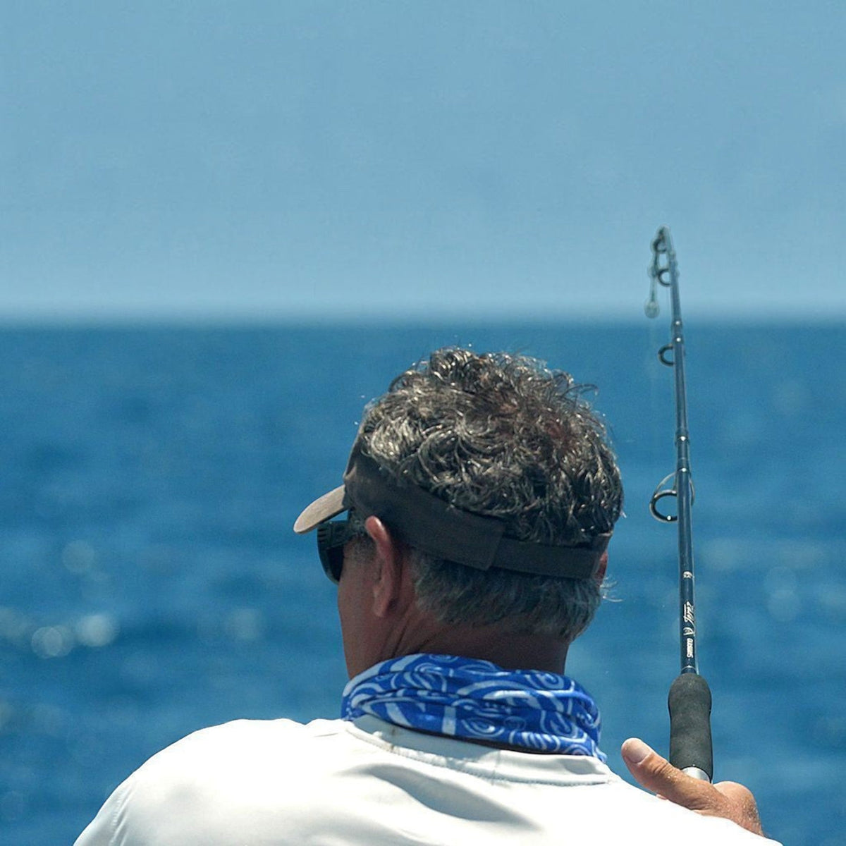 Shimano Terez Conventional Rods