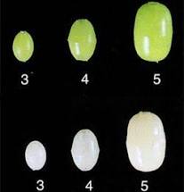 Owner Soft Glow Beads