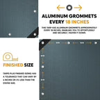 Silver/Black Poly Tarp 30' x 60'