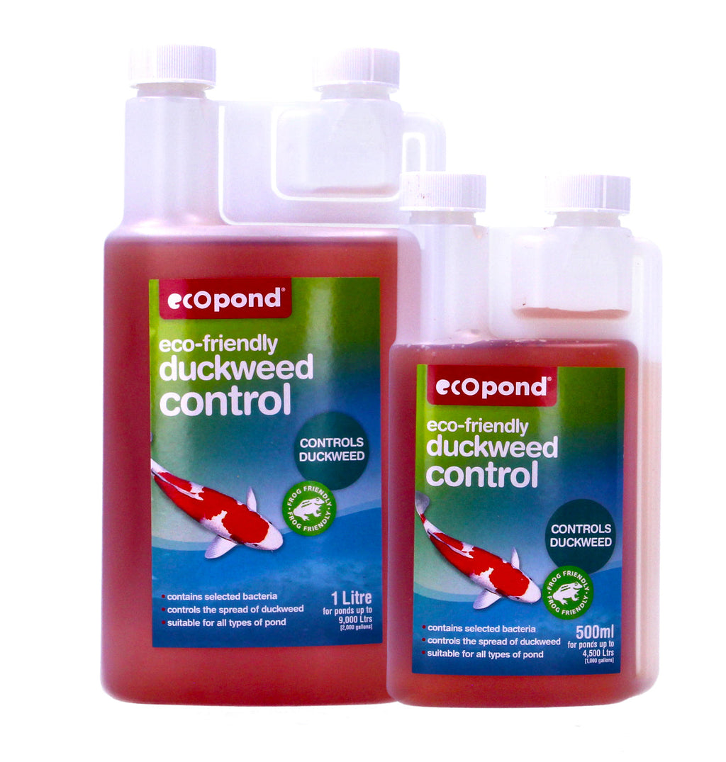EcoPond Eco Friendly Control Duckweed Fish Pond Treatment