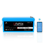 SunGoldPower 3000W DC 12V Pure Sine Wave Inverter With Charger