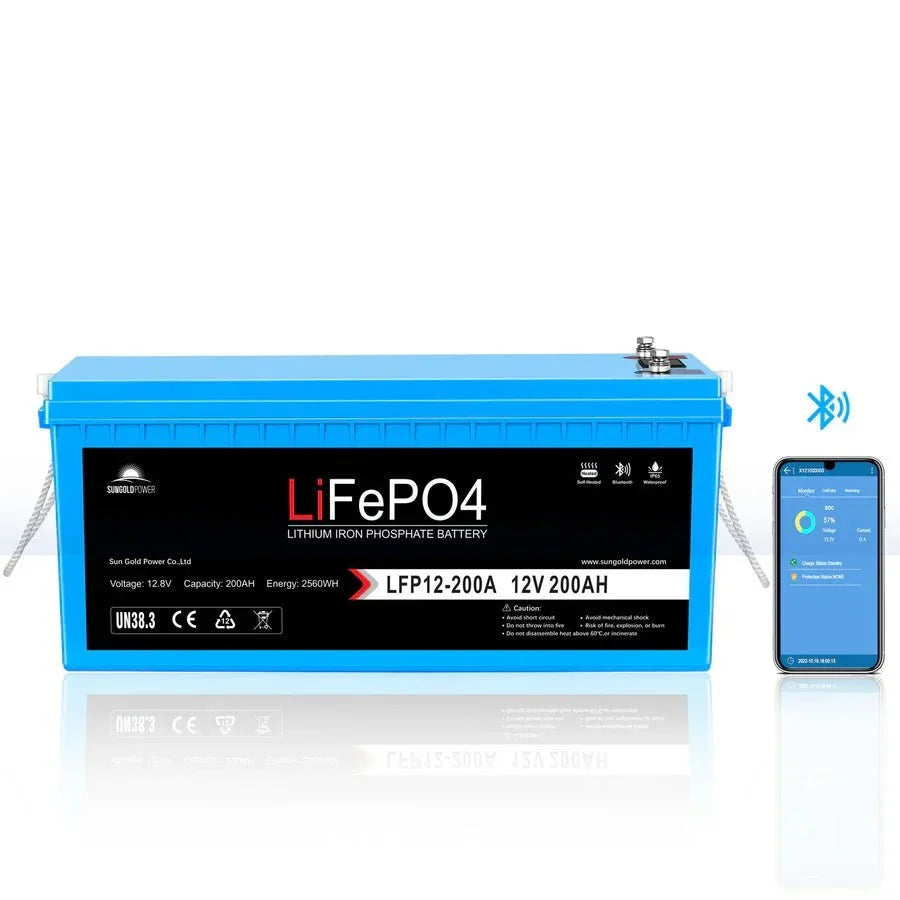 SunGoldPower 3000W DC 12V Pure Sine Wave Inverter With Charger