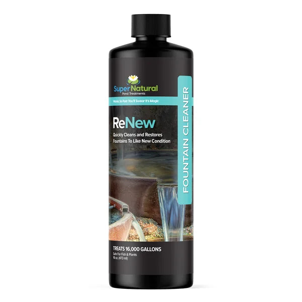 Supernatural ReNew - 32 Oz