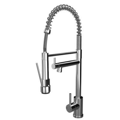 Kitchen Mixer w/ Swivel Spout and Directional Spray