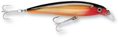 Rapala X Rap SXR10