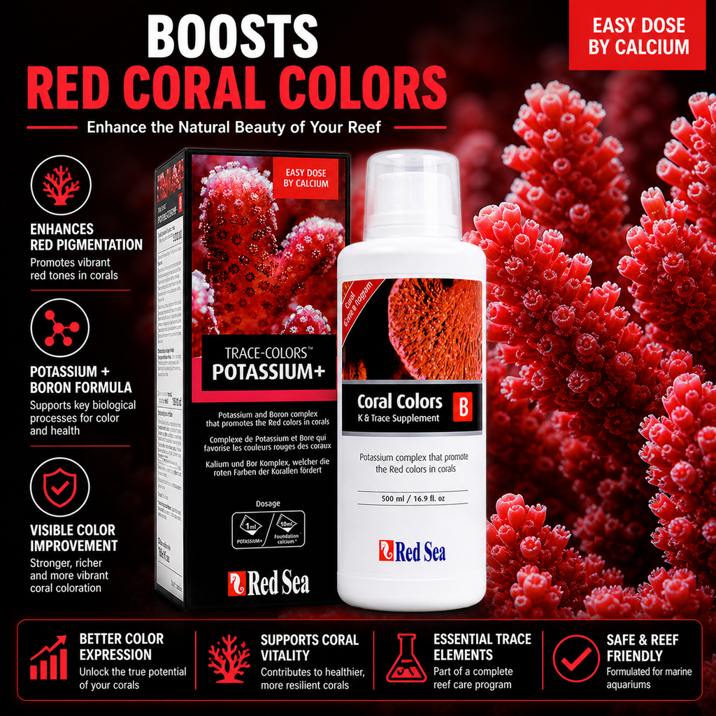 Red Sea Reef Colours B 500ml - R22053