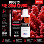 Red Sea Reef Colours B 500ml - R22053