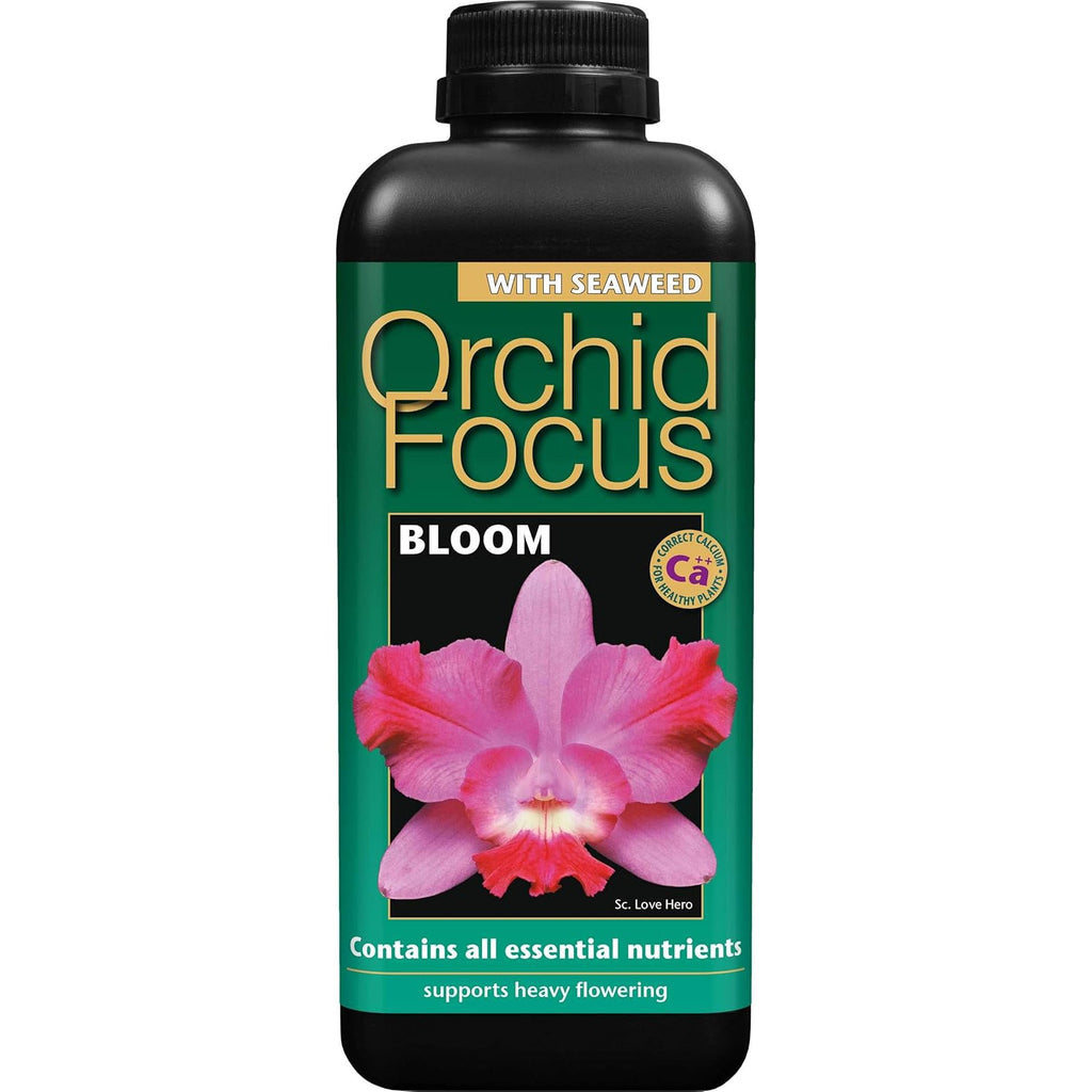 Growth Technology Orchid Focus Bloom 1 Liter