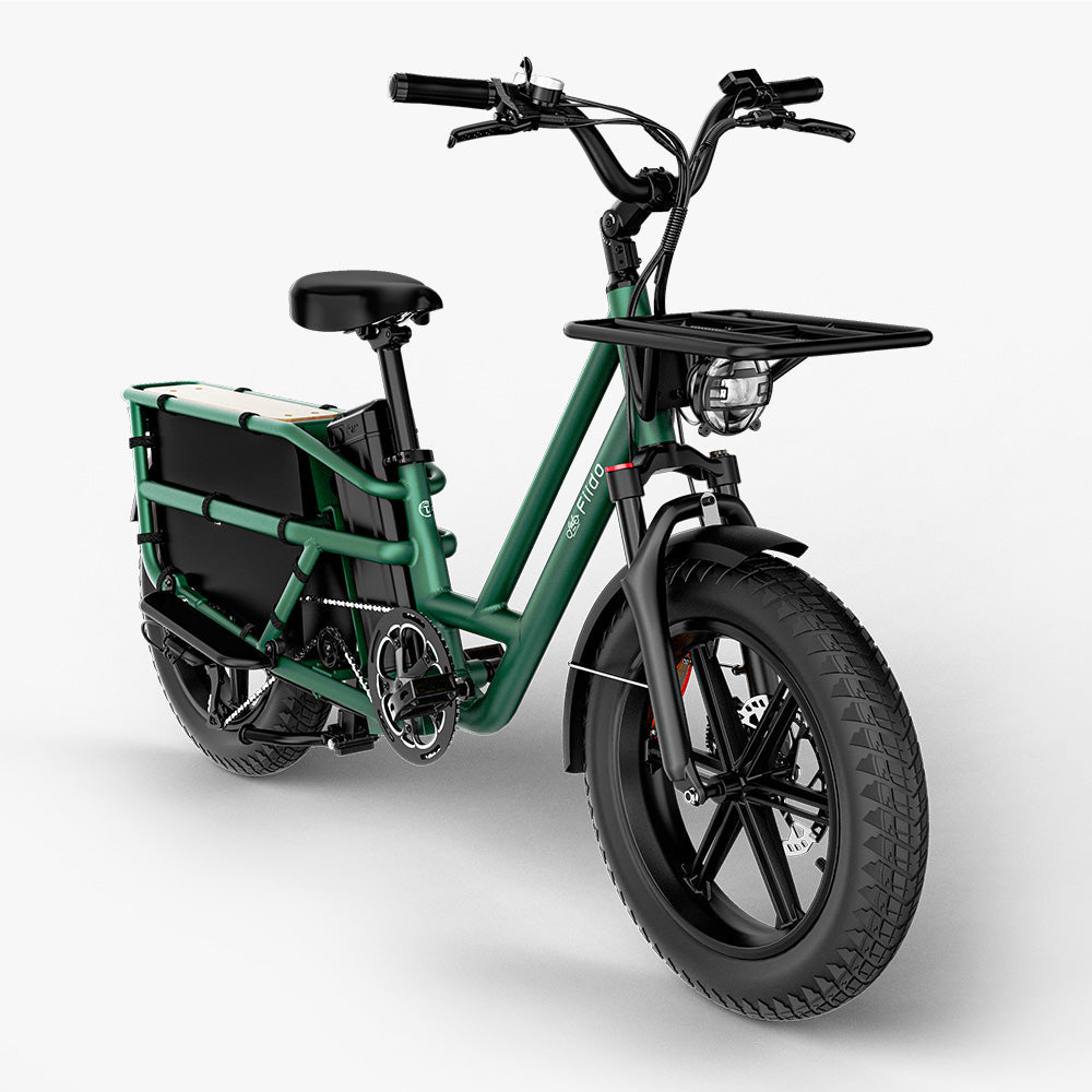 Fiido T2 Electric Cargo Bike: 200 kg Payload, 136.26 km Long Range