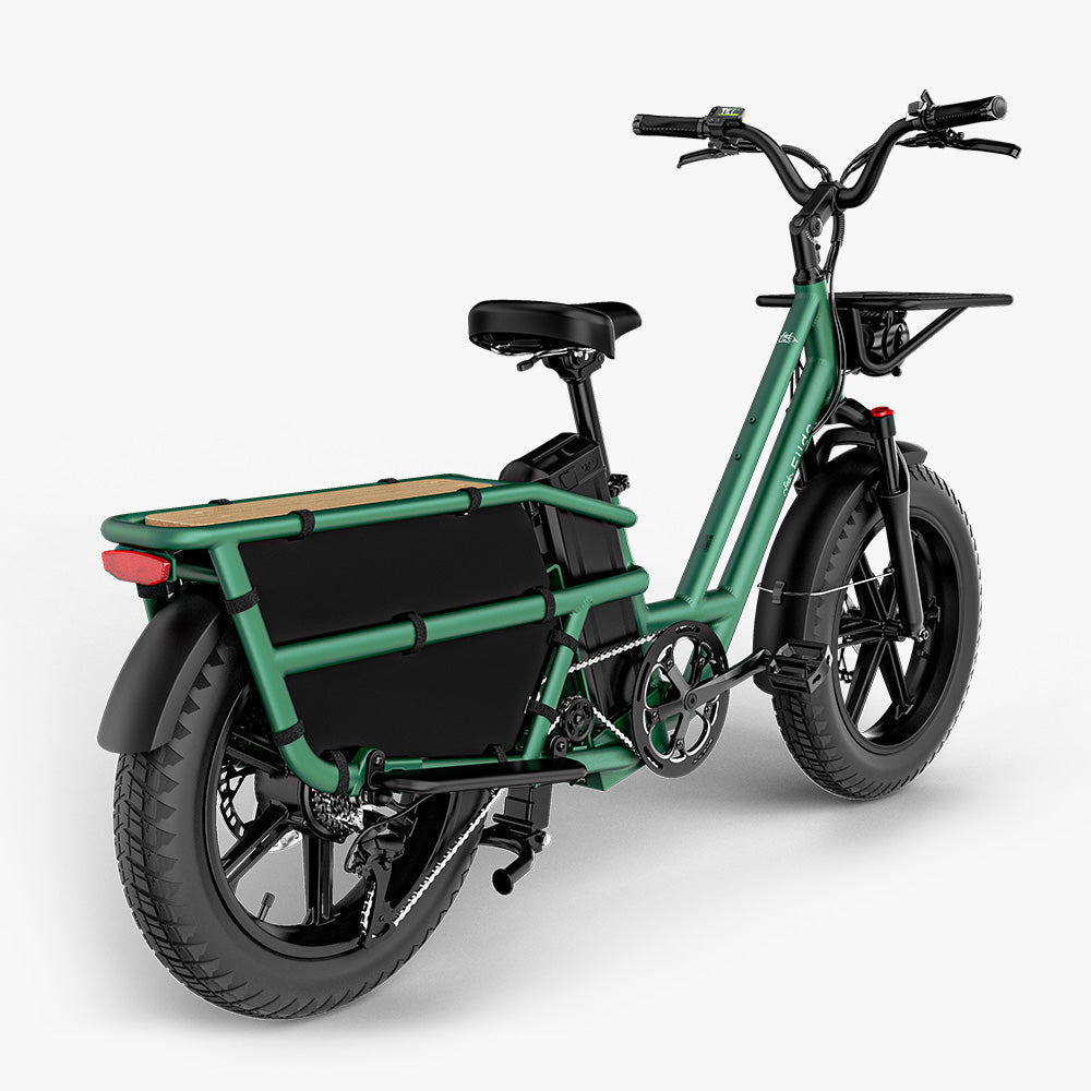 Fiido T2 Electric Cargo Bike: 200 kg Payload, 136.26 km Long Range