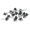 Cladco 65mm Screw to Wood with BAZ Washer - Pack of 100