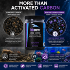 BioCore Living Carbon 400g for Freshwater & Marine Aquariums