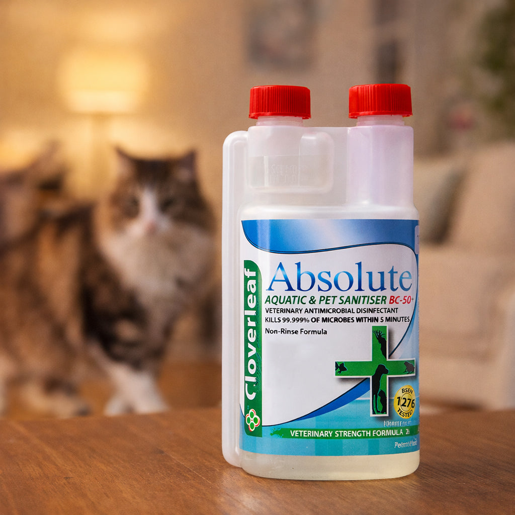 Cloverleaf Absolute Aquatic Pet Sanitiser BC-50+ Concentrated Disinfectant