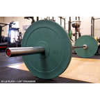 Training Plates [Each Piece]