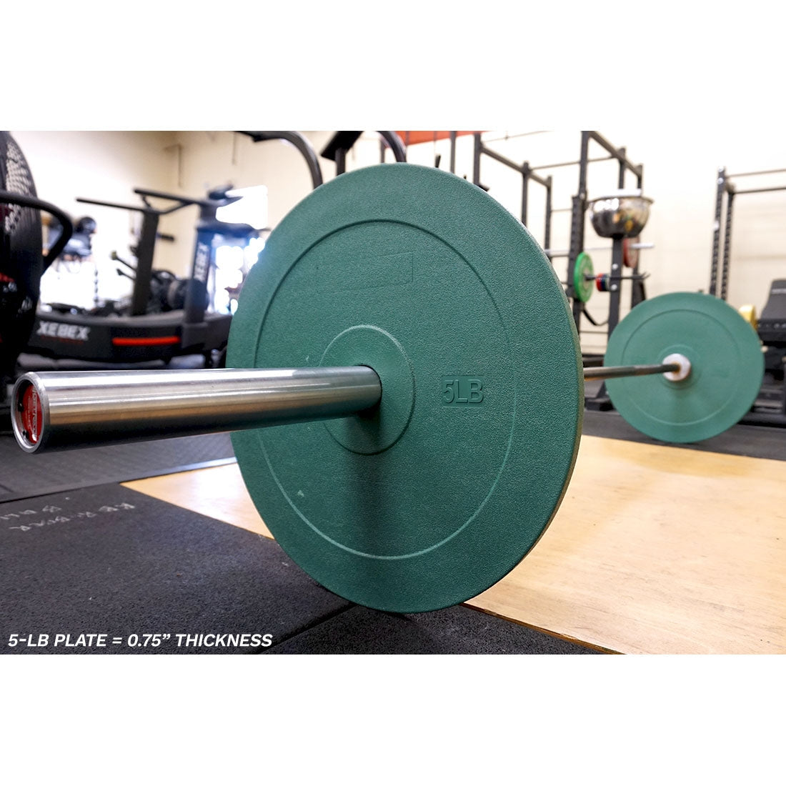 Training Plates [Each Piece]
