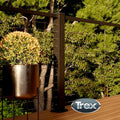 Trex Signature X-Series Posts