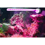 Tunze LED Refugium Eco Chic