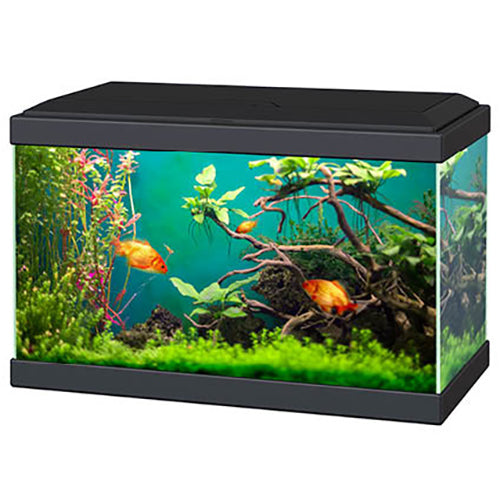 Ciano Aqua 20 Classic Aquarium - Black