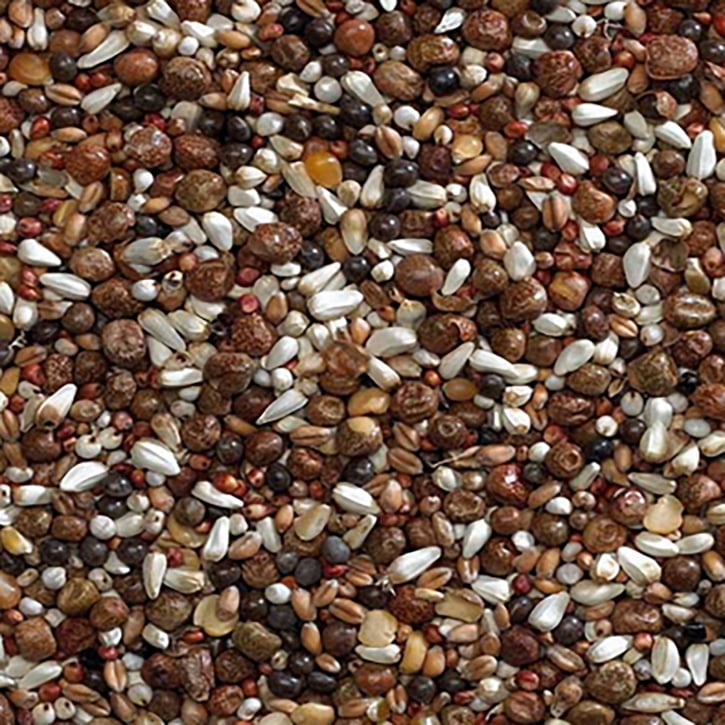 Bucktons VIP Pigeon Seed 20kg