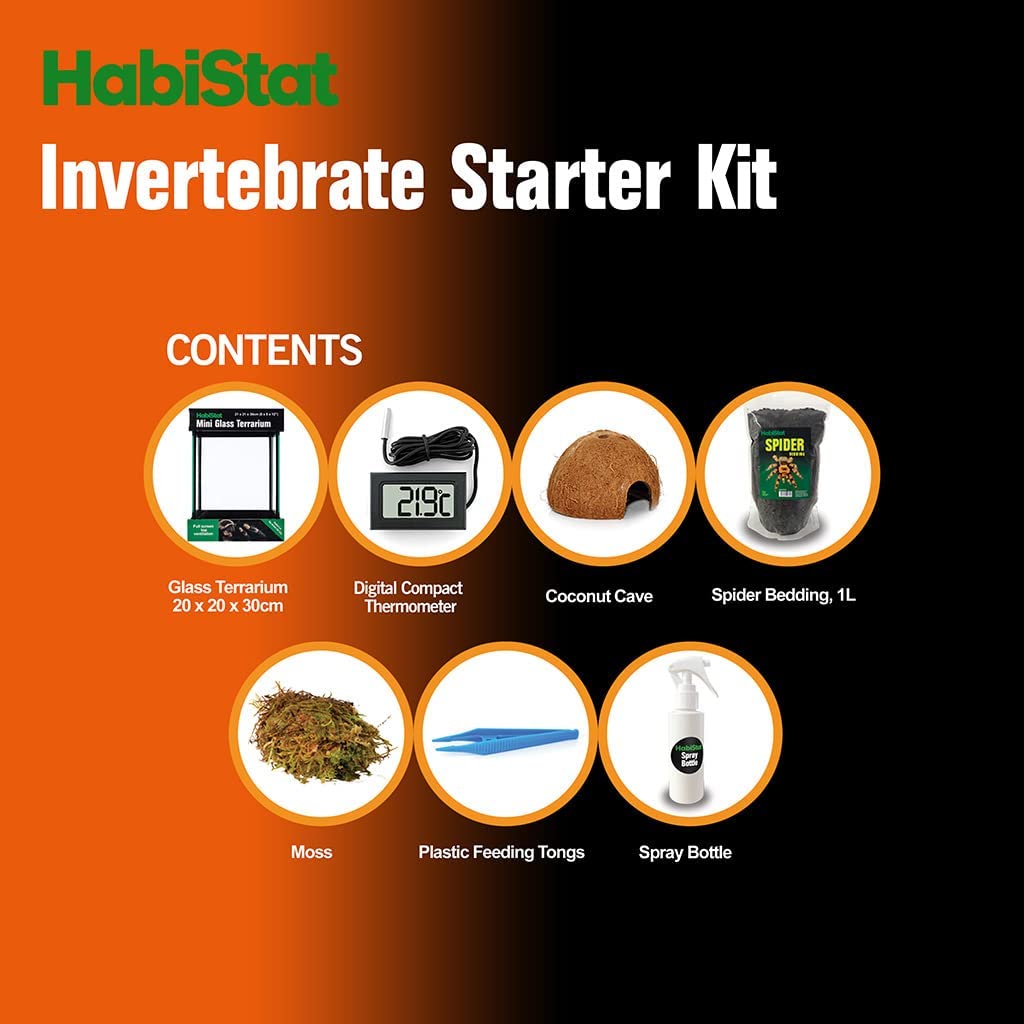 HabiStat Invertebrate Starter Kit for Mantis & Spiders