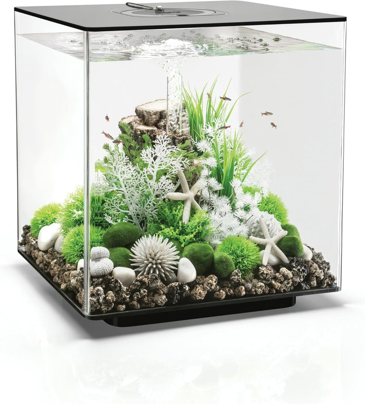 biOrb Cube 30 Acrylic Aquarium Fish Tank 30L with MCR LED – Black or White