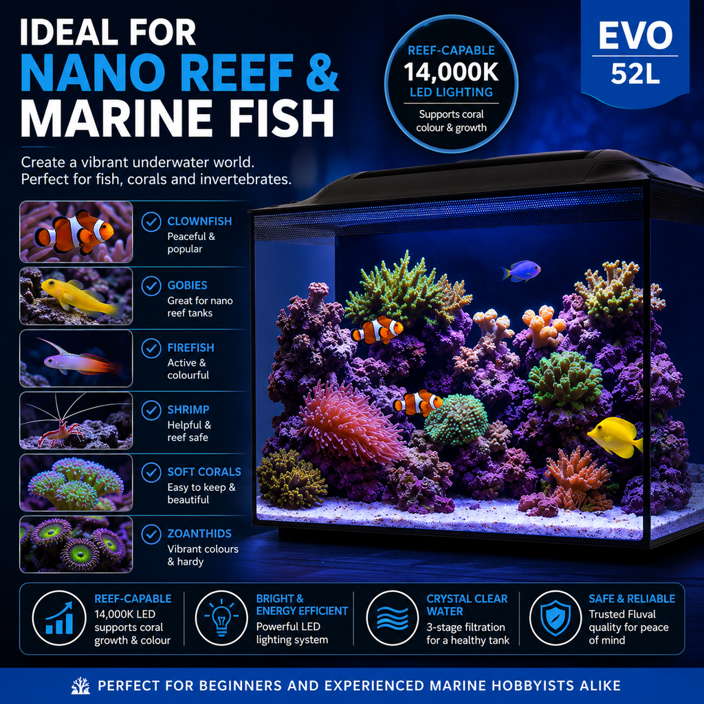 Fluval Sea Evo 52L Marine Saltwater Aquarium Kit with LED Lighting and Pump