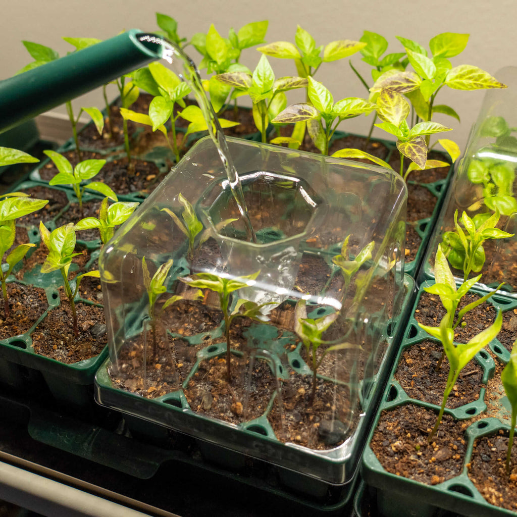 Seedling Drip Control Humidity Dome Gen 2 - 5" x 5"