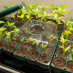 Seedling Drip Control Humidity Dome Gen 2 - 5" x 5"