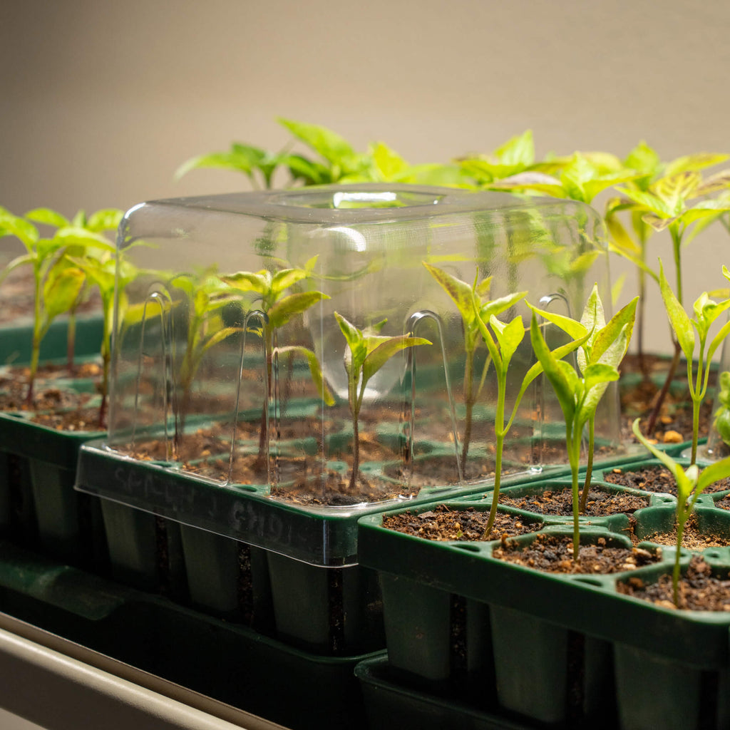 Seedling Drip Control Humidity Dome Gen 2 - 5" x 5"