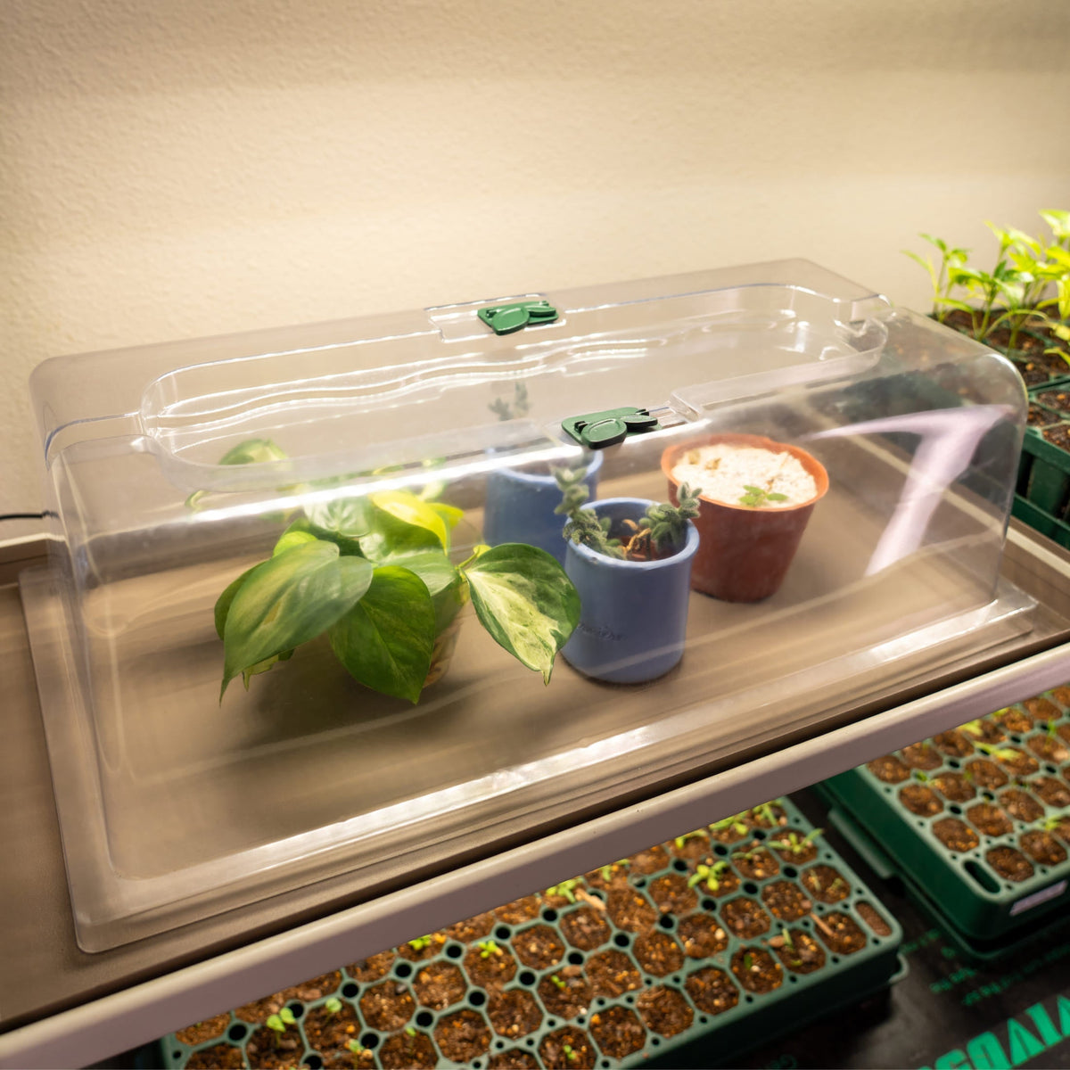 Seedling Humidity Dome - 10" x 20"