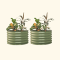 17" Tall Berry Garden Bed 30" Wide - Twin Pack | Vego Garden