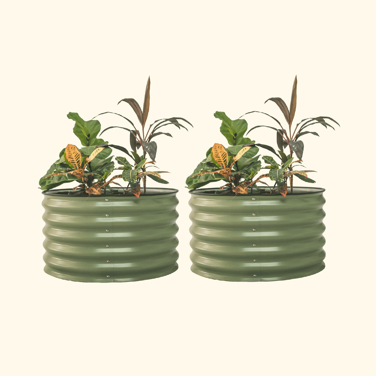 17" Tall Berry Garden Bed 30" Wide - Twin Pack | Vego Garden