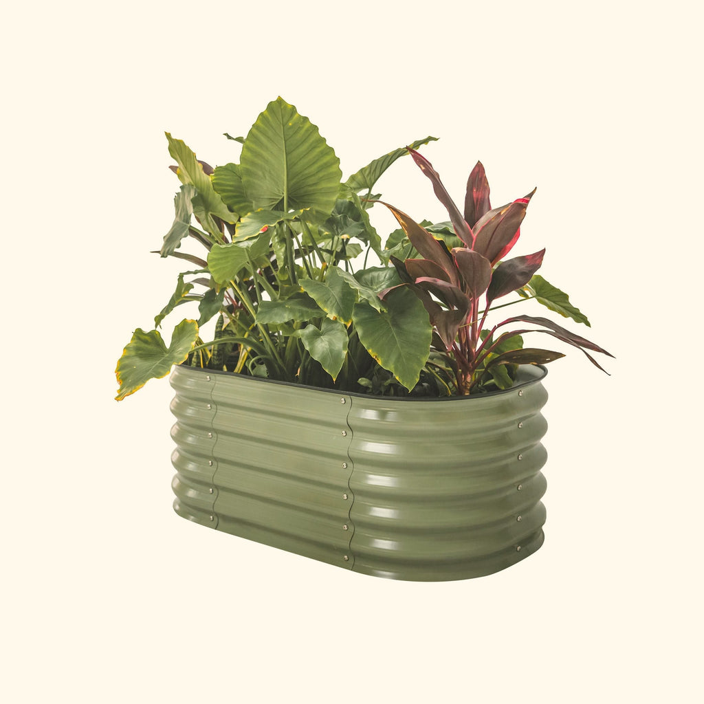 17" Tall Kids First Garden Bed 42" x 24" | Vego Garden