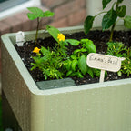 EZCube Self-Watering Planter 21" x 24"