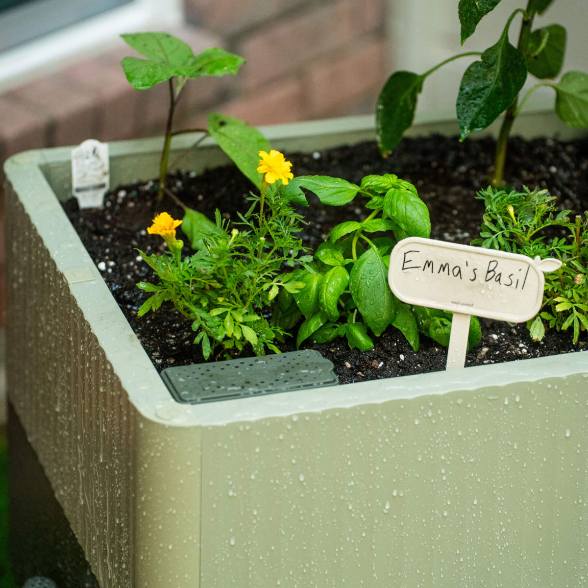 EZCube Self-Watering Planter 21" x 24"