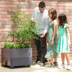 EZCube Self-Watering Planter 21" x 24"