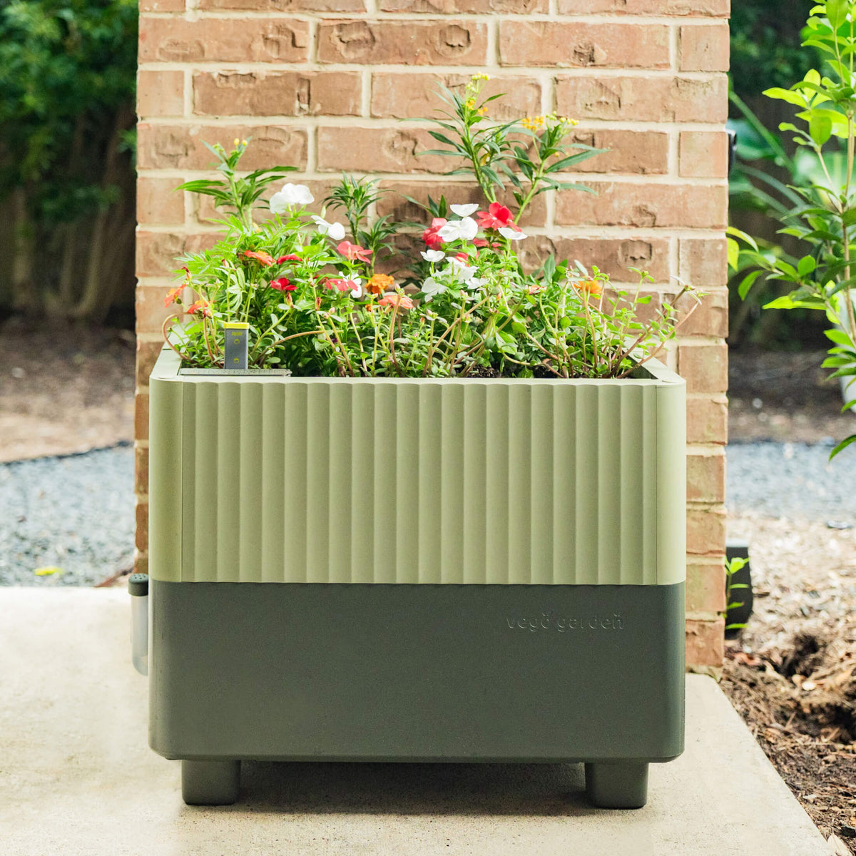 EZCube Self-Watering Planter 21" x 24"