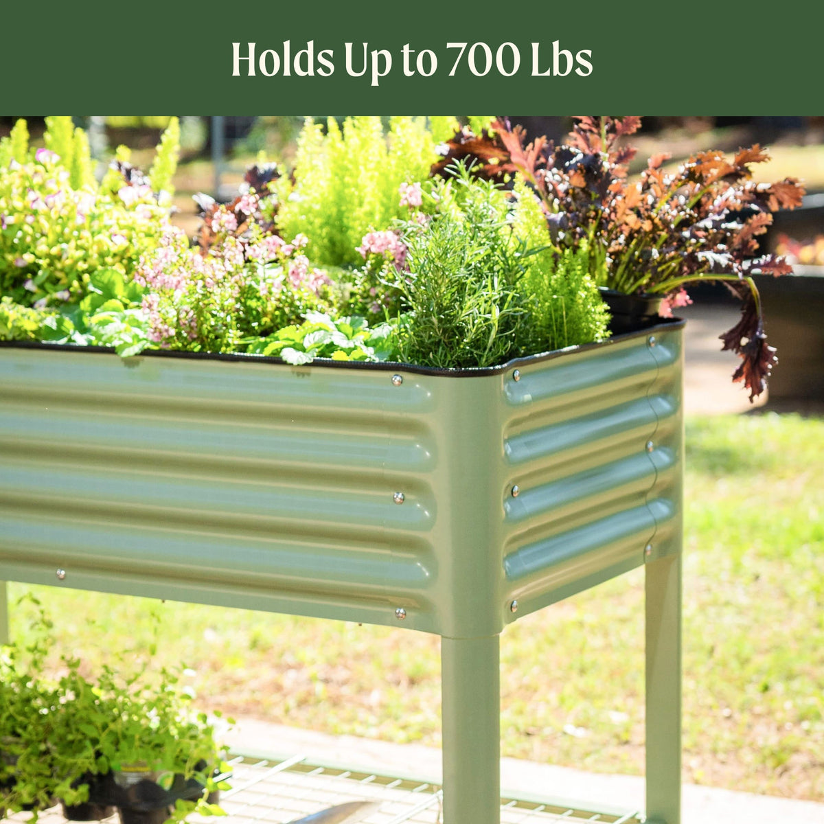 Elevated Garden Bed - 2' x 4' Wheels Included