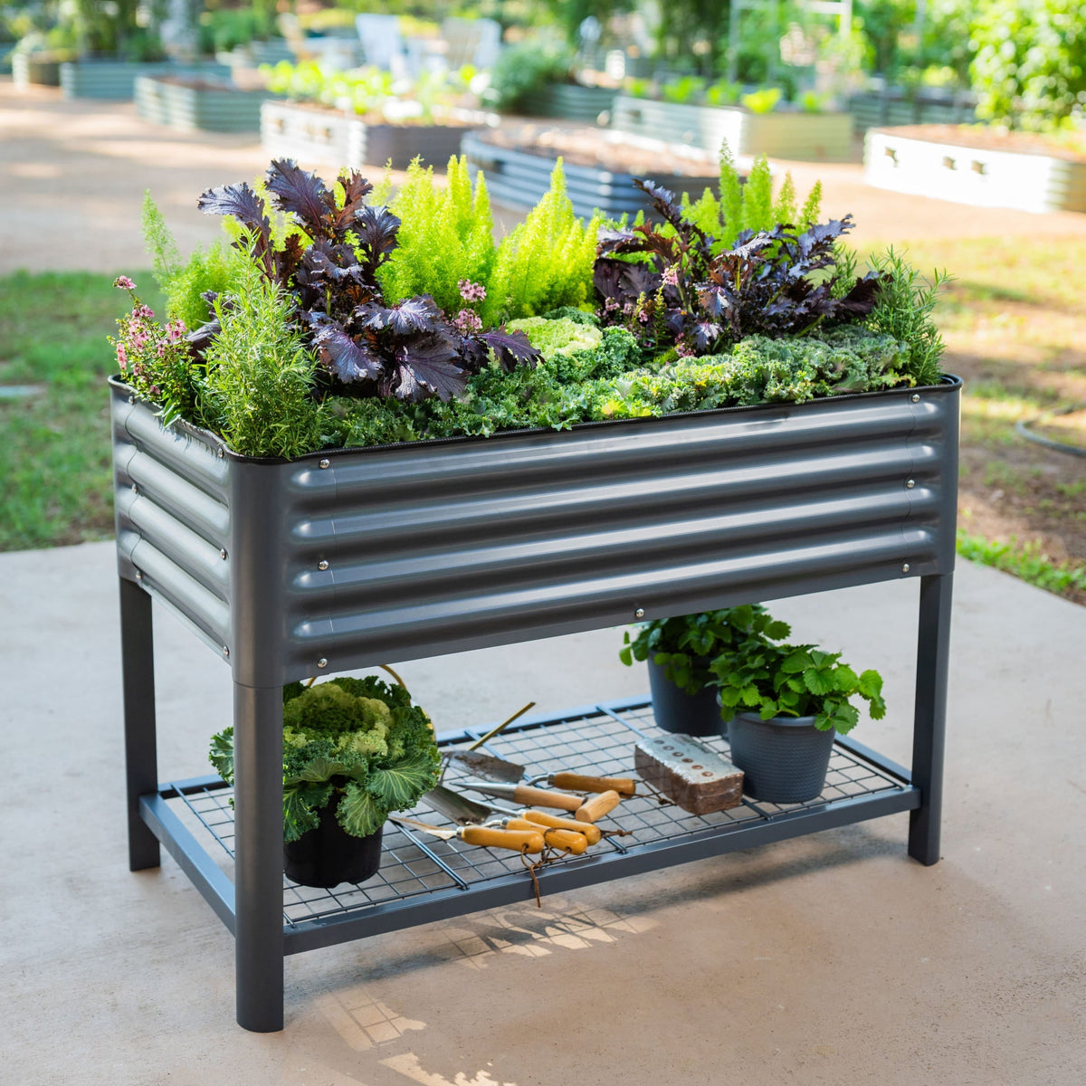 Elevated Garden Bed - 2' x 4' Wheels Included