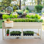Elevated Garden Bed - 2' x 6'