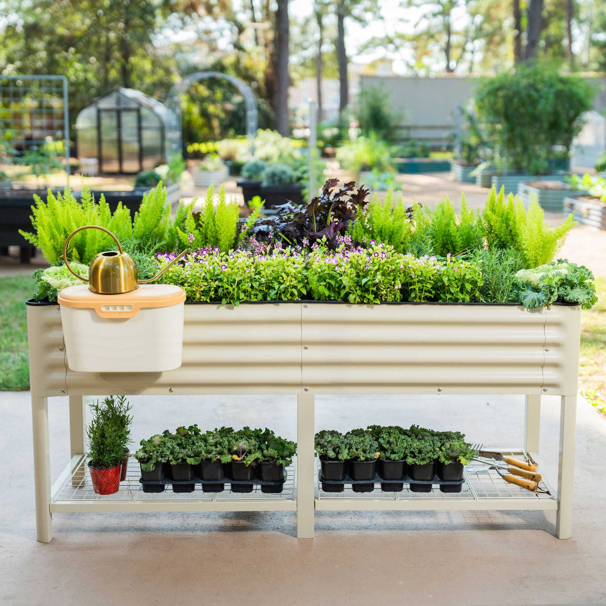 Elevated Garden Bed - 2' x 6'