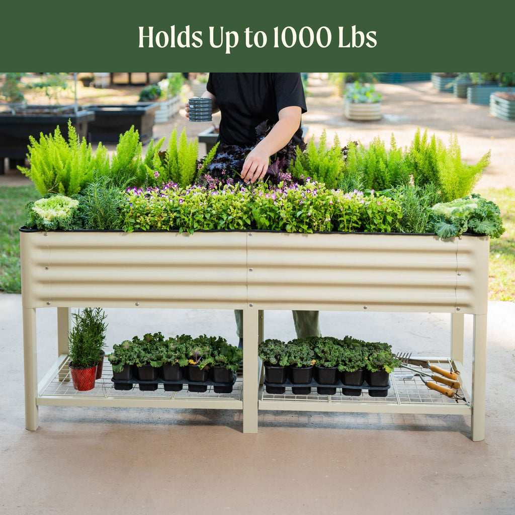 Elevated Garden Bed - 2' x 6'