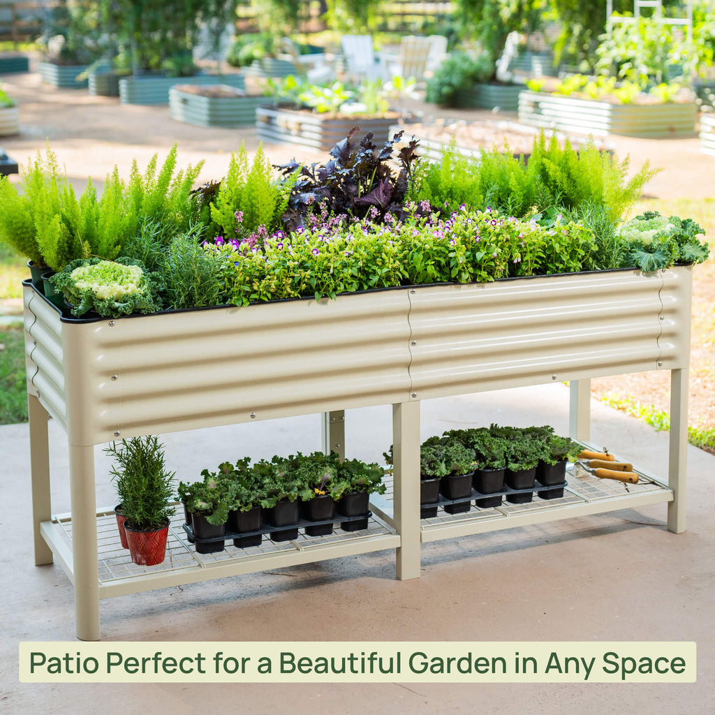 Elevated Garden Bed - 2' x 6'