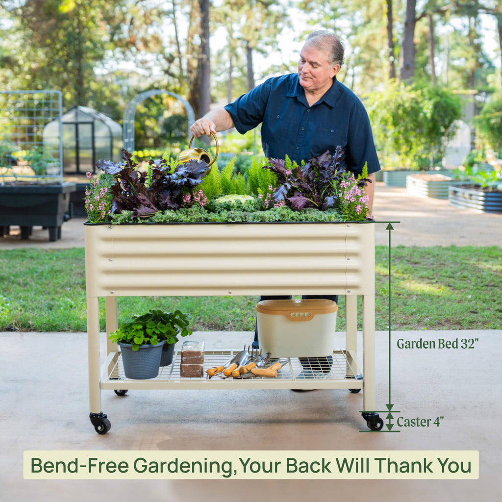 Elevated Garden Bed - 2' x 6'