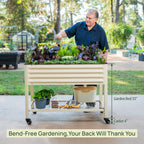 Elevated Garden Bed - 2' x 6'