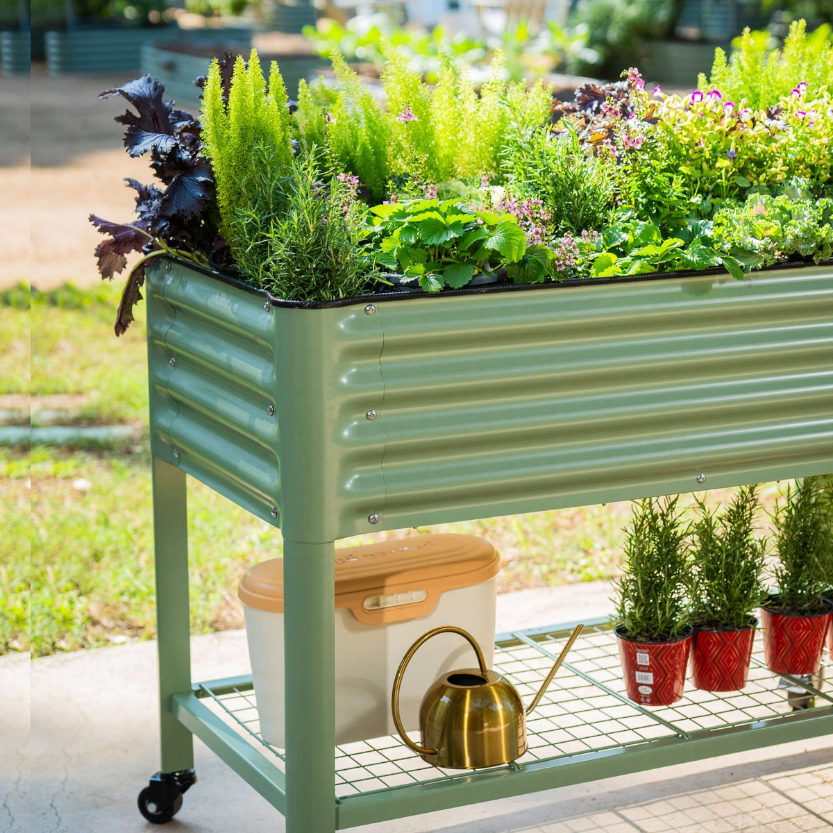 Elevated Garden Bed - 2' x 4'