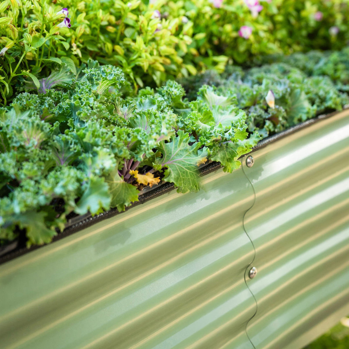 Elevated Garden Bed - 2' x 4' Wheels Included