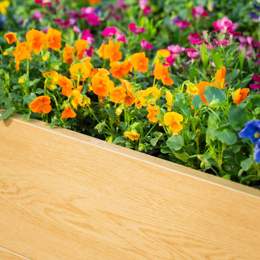 16" Tall Woodgrain 4' x 4' Metal Raised Garden Bed