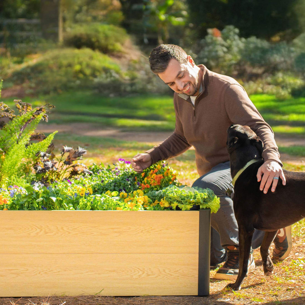 16" Tall Woodgrain 4' x 4' Metal Raised Garden Bed