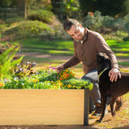 16" Tall Woodgrain 4' x 4' Metal Raised Garden Bed